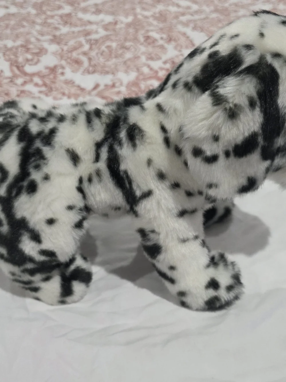 Douglas MACKAY DALMATIAN Dog Puppy Retired